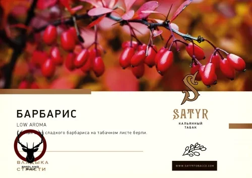 Satyr Barberry 25гр МРК