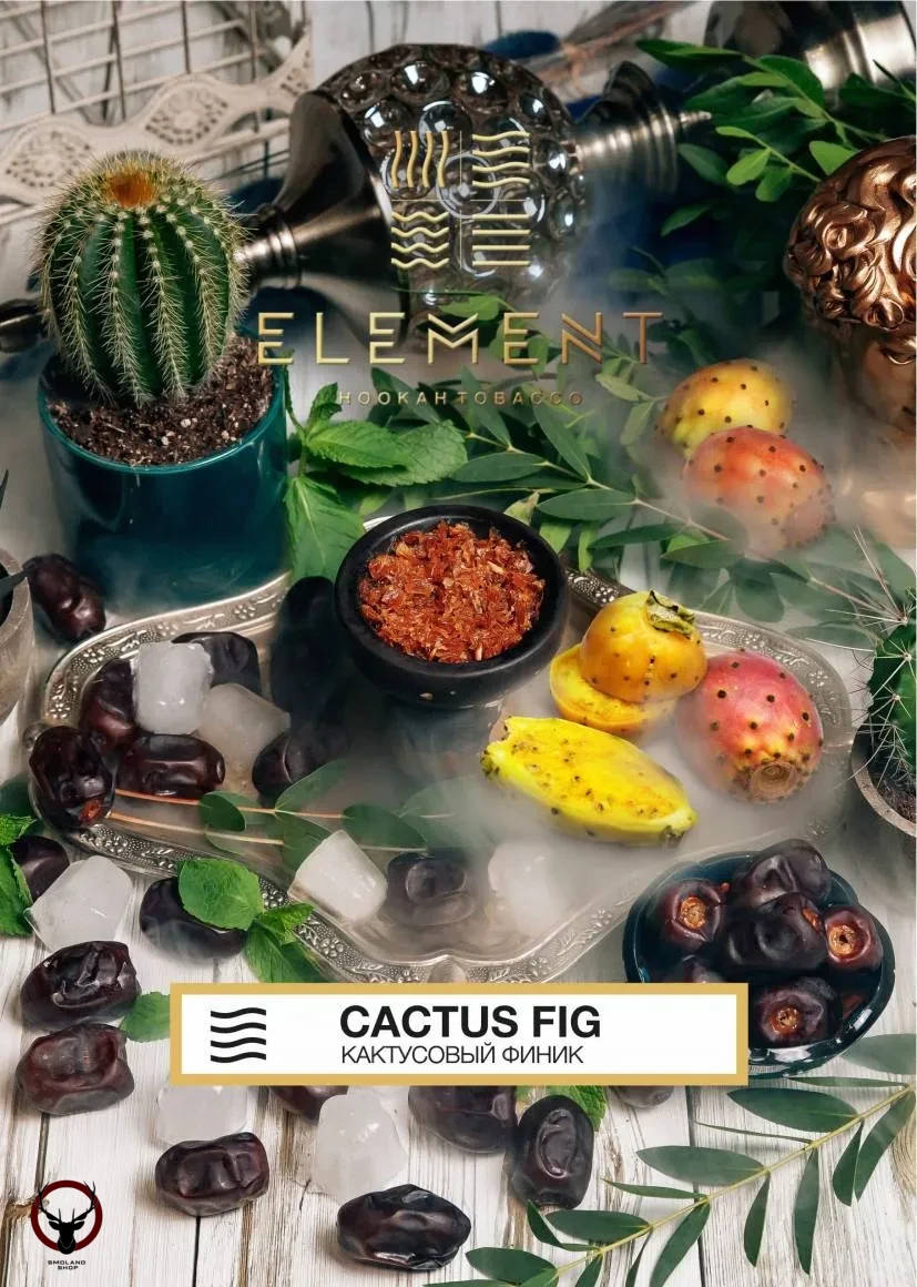 Element ВОЗДУХ Cactus Fig 40гр МРК