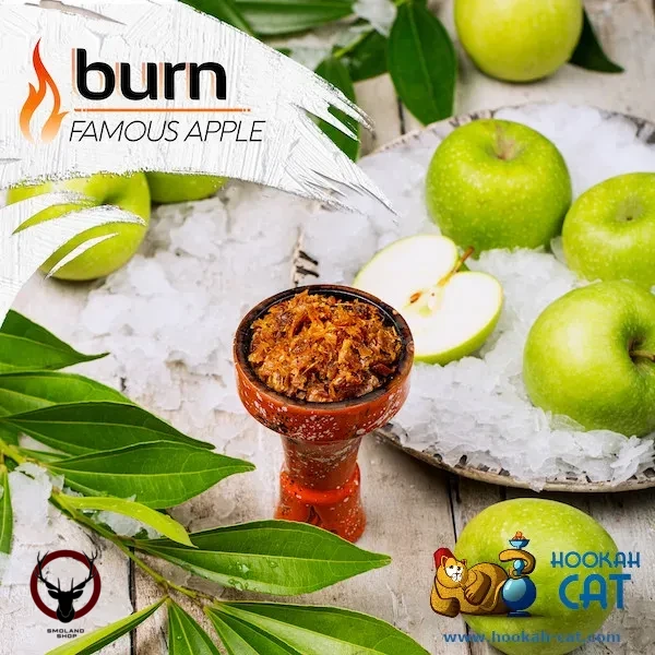 Burn Famous apple 100гр МРК