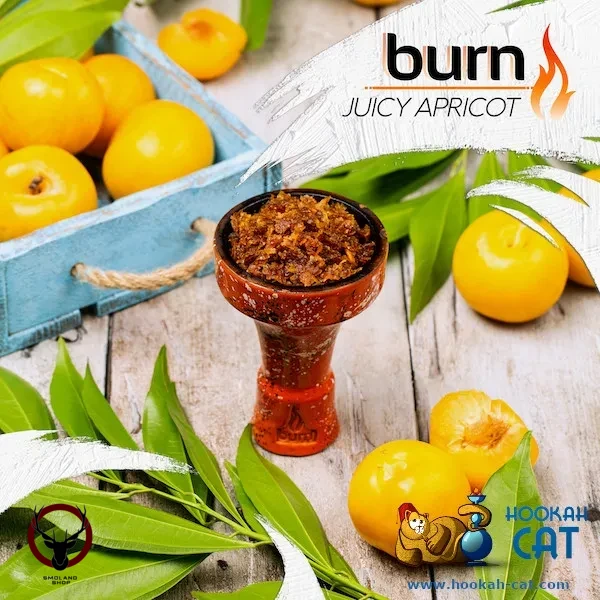 Burn Juicy apricot 100гр МРК