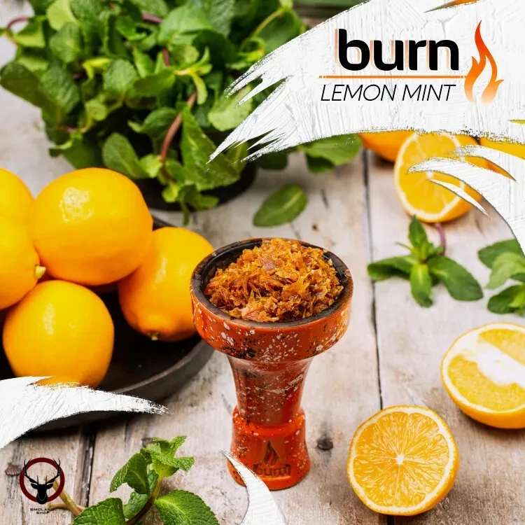 Burn Lemon mint 100гр МРК