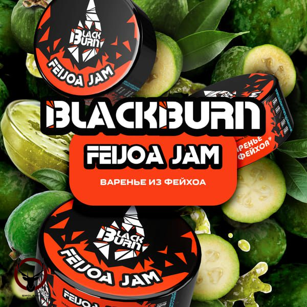 Burn BLACK Feijoa jam 25гр МРК