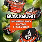 Burn BLACK Gooseberry Shock 100гр МРК